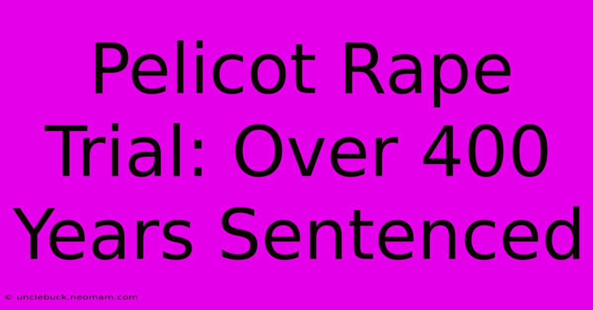 Pelicot Rape Trial: Over 400 Years Sentenced