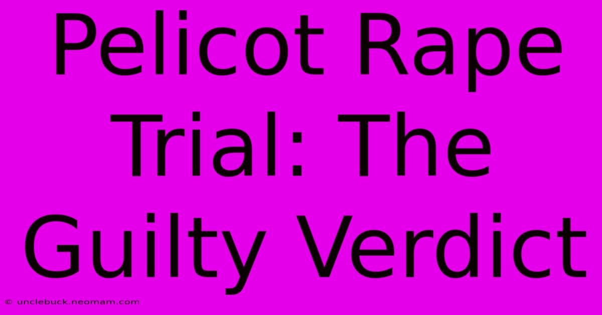 Pelicot Rape Trial: The Guilty Verdict