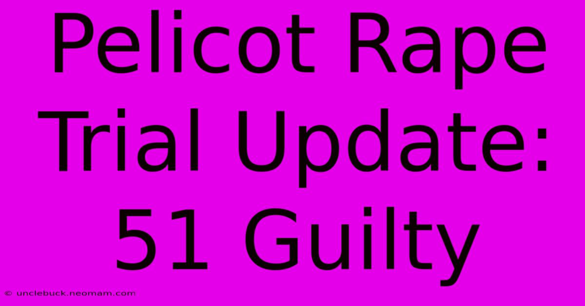 Pelicot Rape Trial Update: 51 Guilty