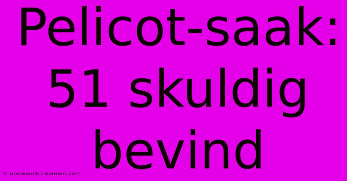 Pelicot-saak: 51 Skuldig Bevind