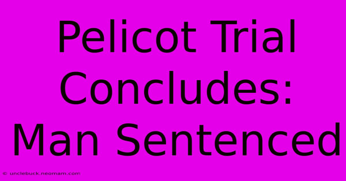 Pelicot Trial Concludes: Man Sentenced