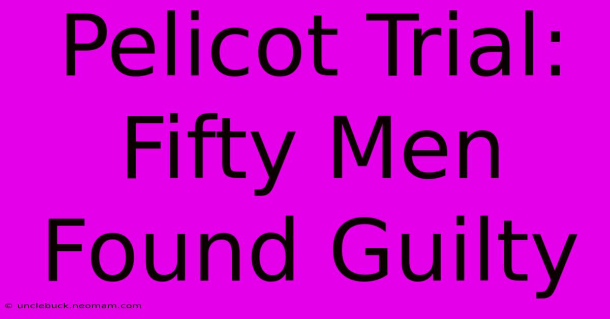 Pelicot Trial: Fifty Men Found Guilty