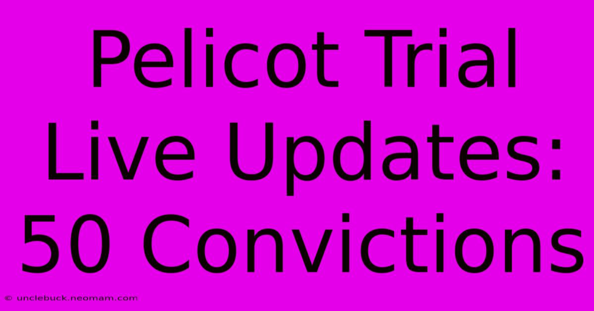 Pelicot Trial Live Updates: 50 Convictions