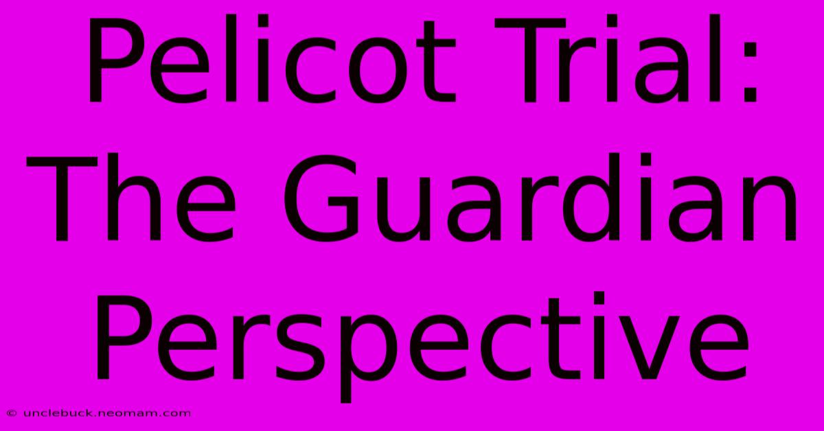 Pelicot Trial: The Guardian Perspective