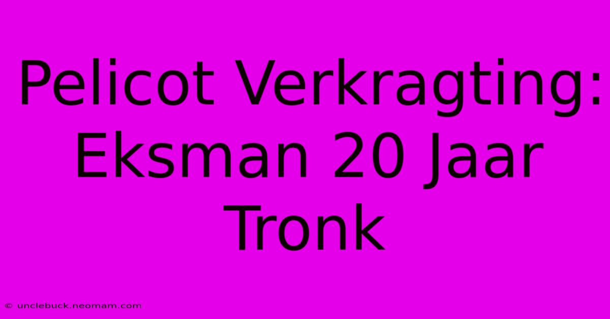 Pelicot Verkragting: Eksman 20 Jaar Tronk