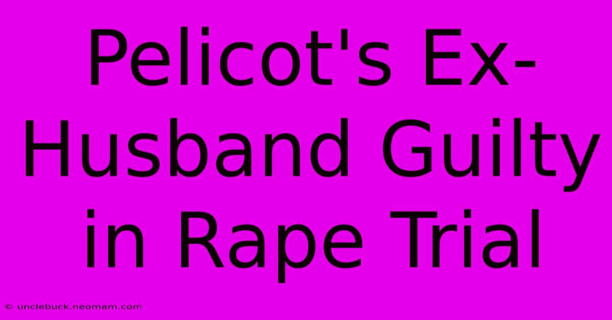 Pelicot's Ex-Husband Guilty In Rape Trial