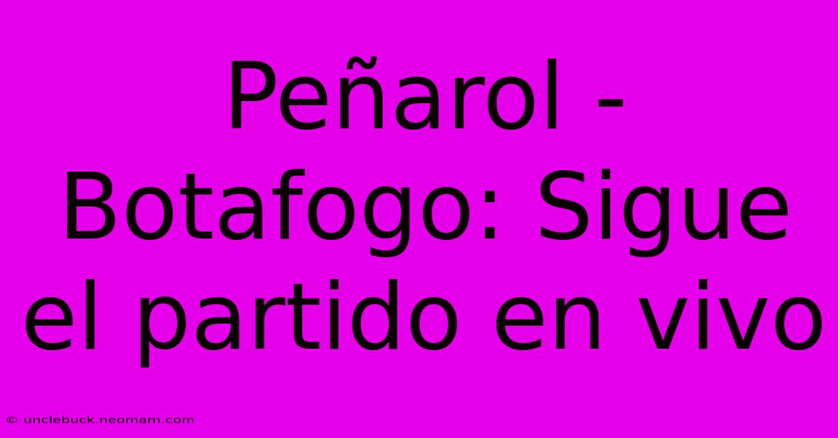 Peñarol - Botafogo: Sigue El Partido En Vivo