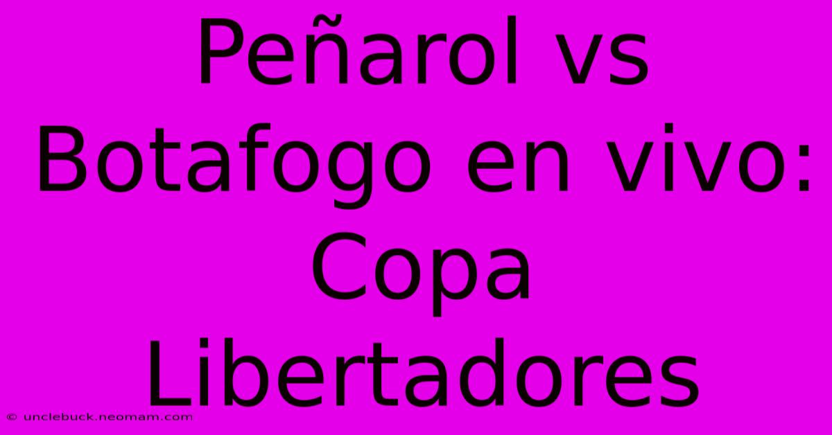 Peñarol Vs Botafogo En Vivo: Copa Libertadores