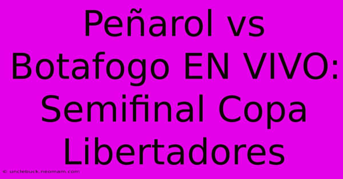 Peñarol Vs Botafogo EN VIVO: Semifinal Copa Libertadores