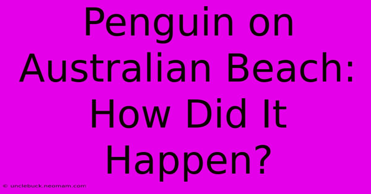 Penguin On Australian Beach: How Did It Happen?