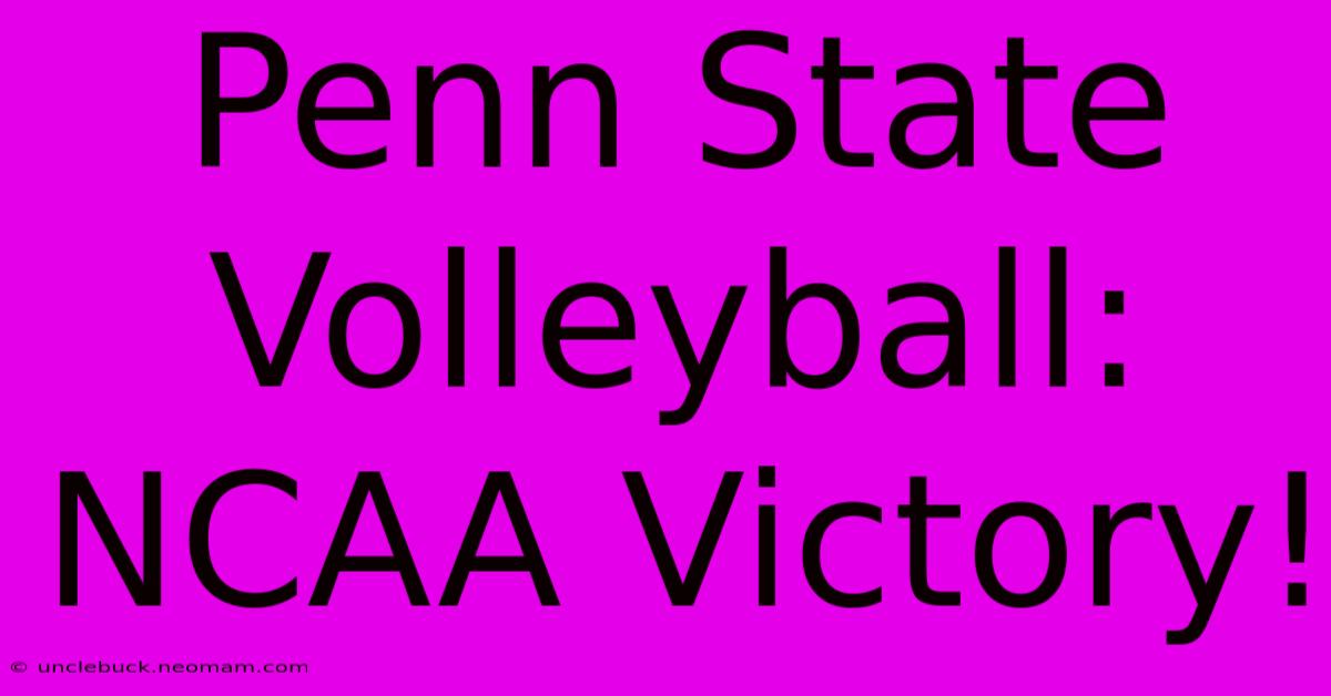 Penn State Volleyball: NCAA Victory!