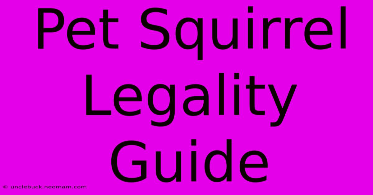 Pet Squirrel Legality Guide