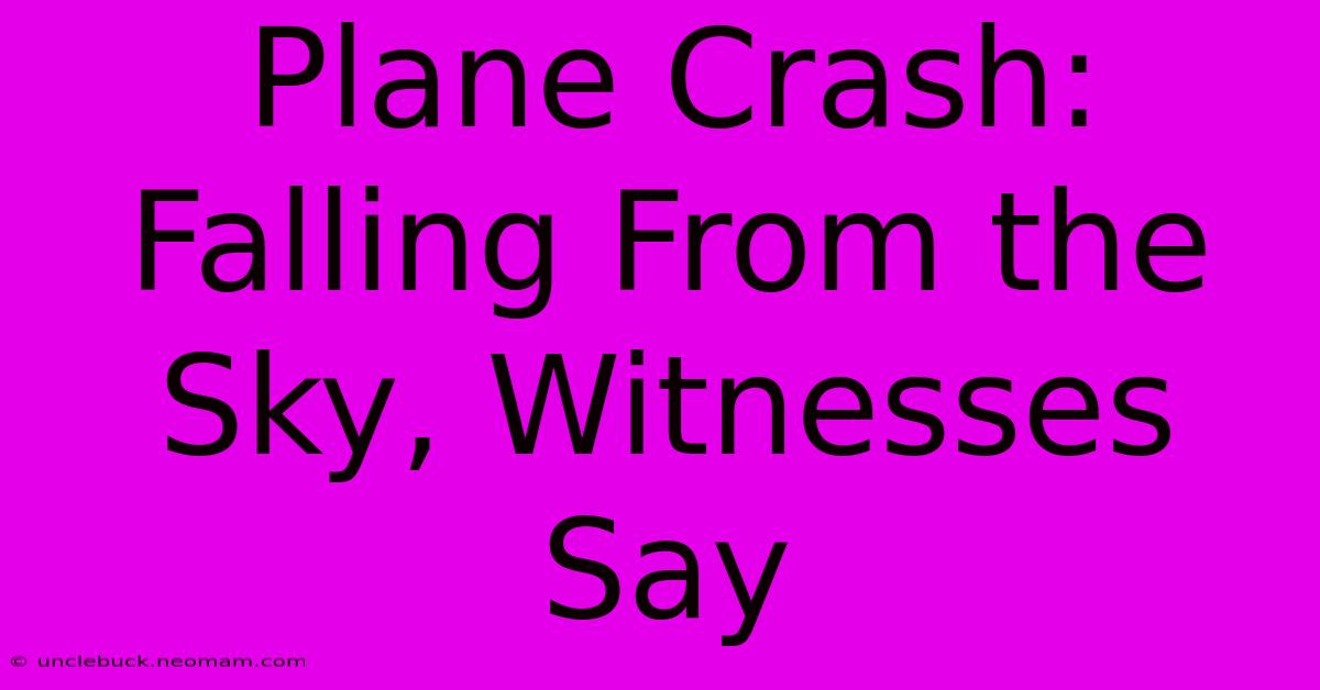 Plane Crash: Falling From The Sky, Witnesses Say