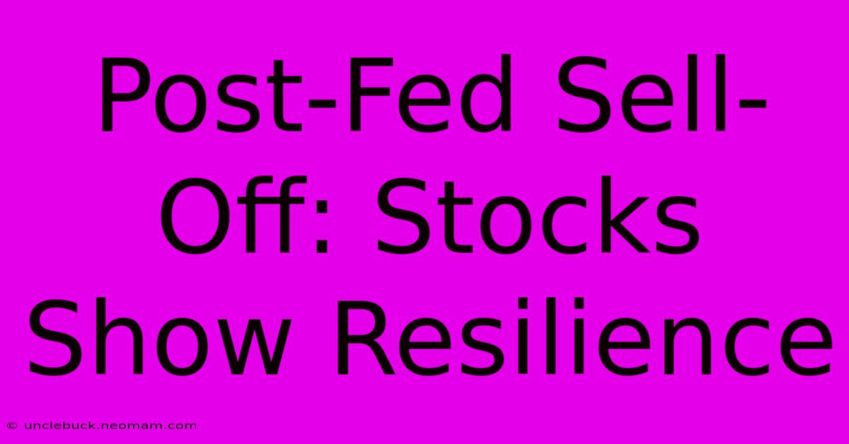 Post-Fed Sell-Off: Stocks Show Resilience