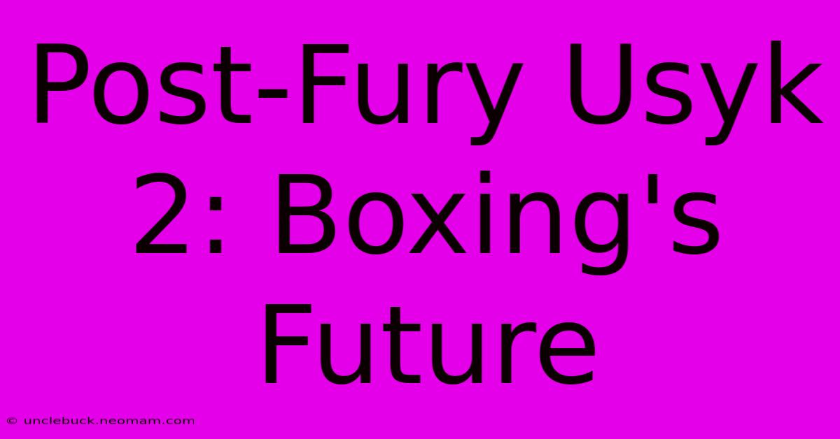 Post-Fury Usyk 2: Boxing's Future