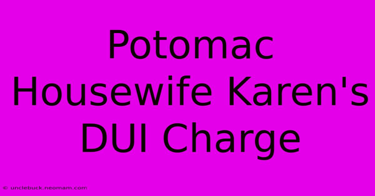 Potomac Housewife Karen's DUI Charge