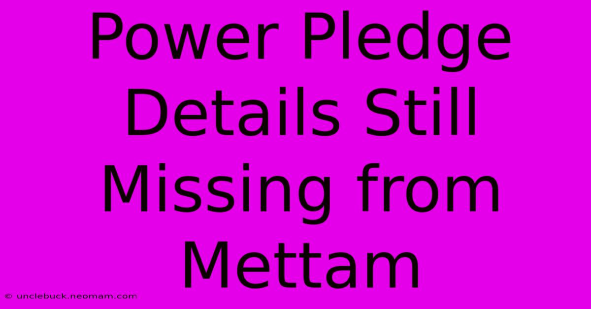 Power Pledge Details Still Missing From Mettam