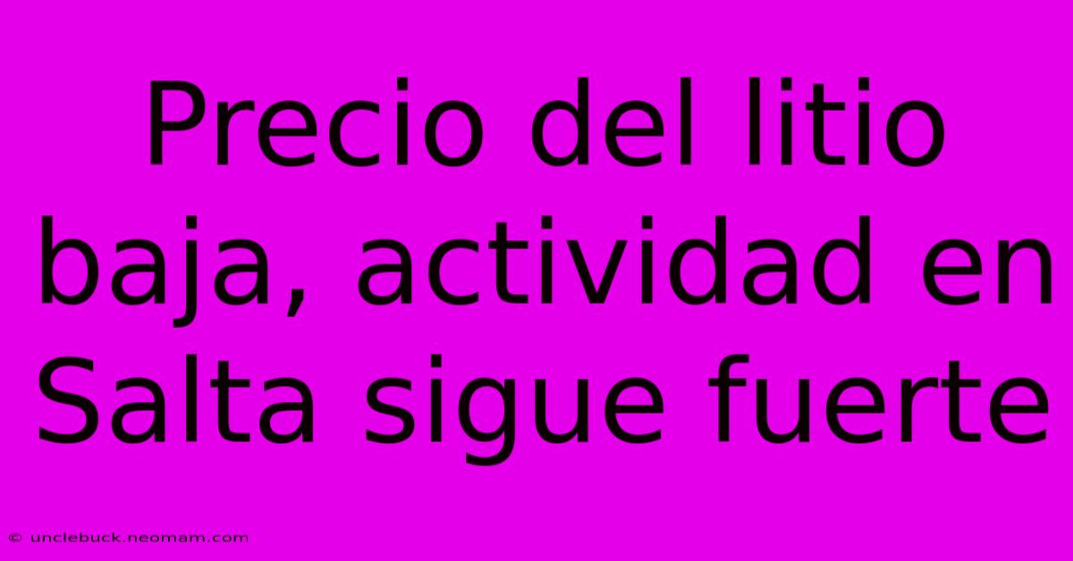 Precio Del Litio Baja, Actividad En Salta Sigue Fuerte