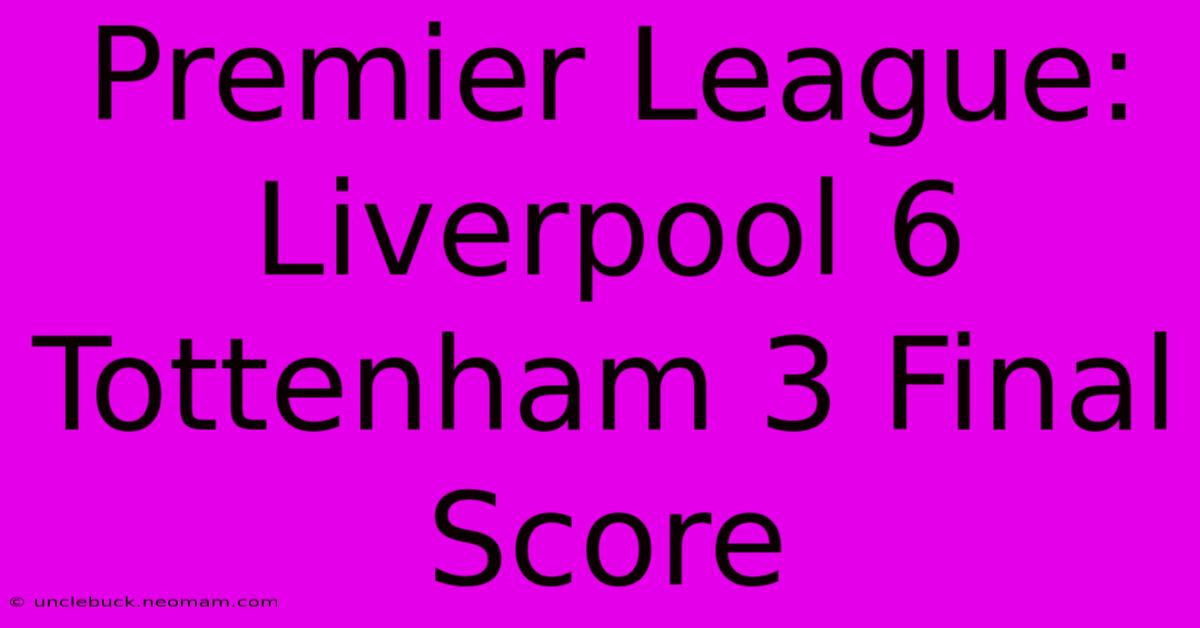 Premier League: Liverpool 6 Tottenham 3 Final Score