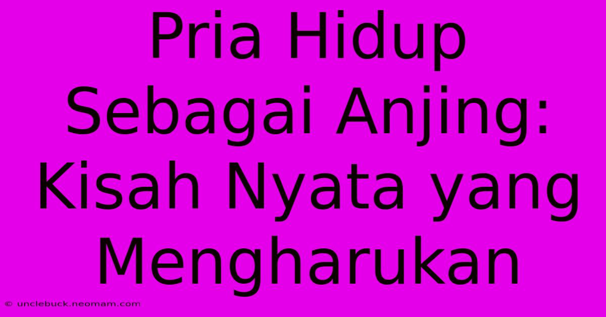 Pria Hidup Sebagai Anjing: Kisah Nyata Yang Mengharukan 