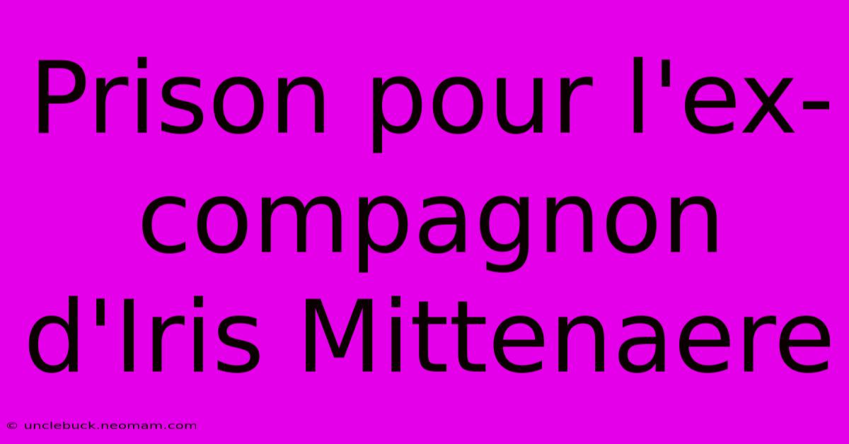 Prison Pour L'ex-compagnon D'Iris Mittenaere