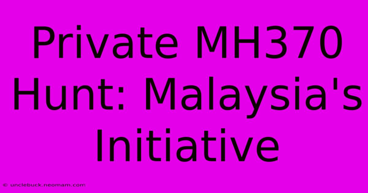 Private MH370 Hunt: Malaysia's Initiative