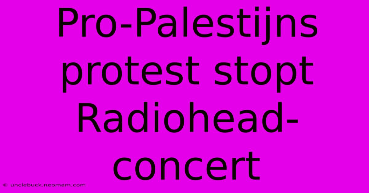 Pro-Palestijns Protest Stopt Radiohead-concert