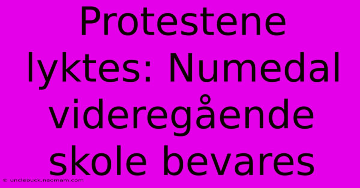 Protestene Lyktes: Numedal Videregående Skole Bevares