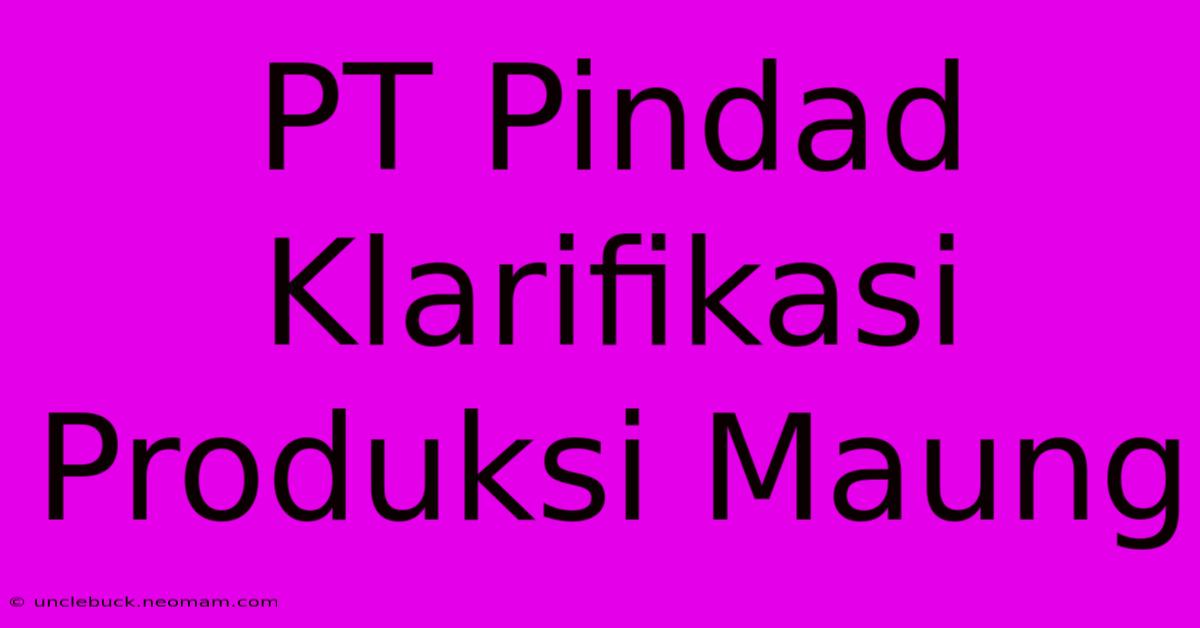 PT Pindad Klarifikasi Produksi Maung