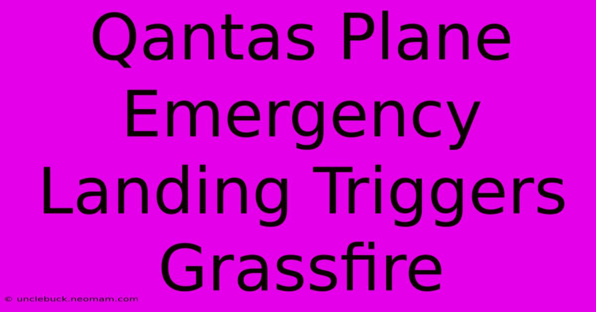 Qantas Plane Emergency Landing Triggers Grassfire