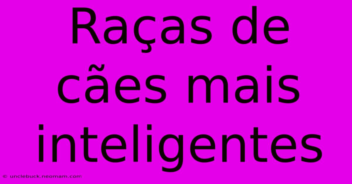 Raças De Cães Mais Inteligentes