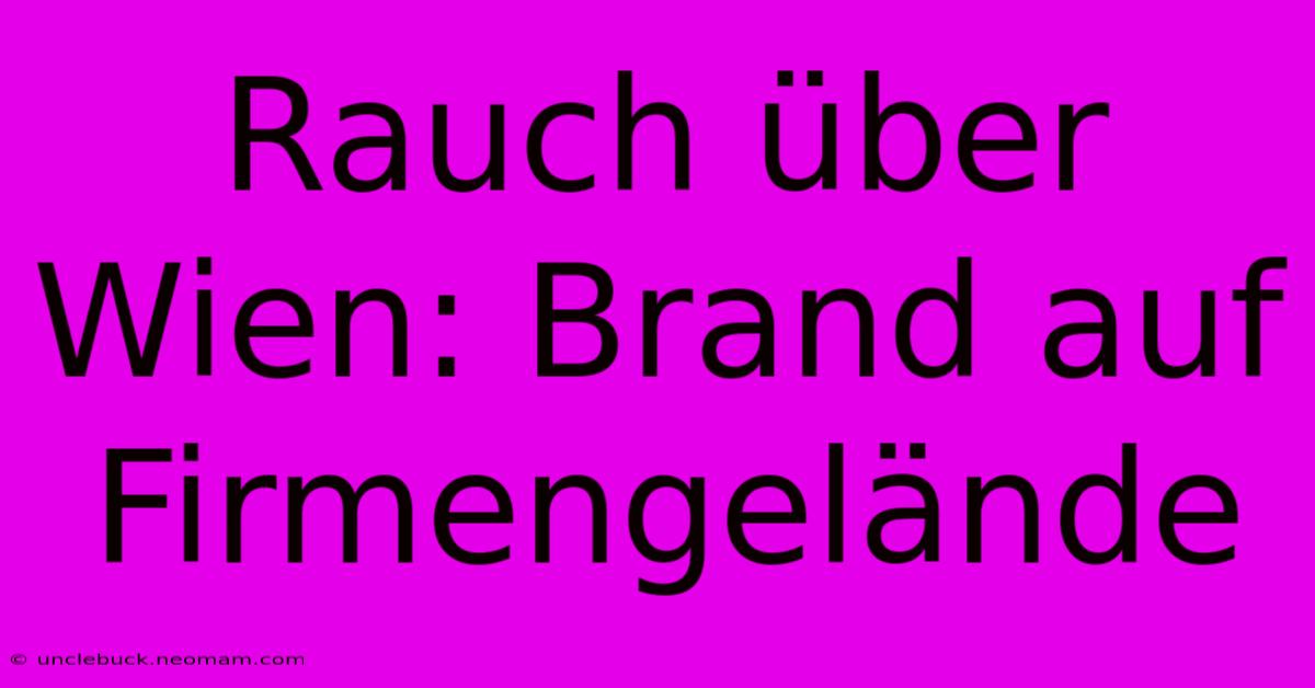 Rauch Über Wien: Brand Auf Firmengelände