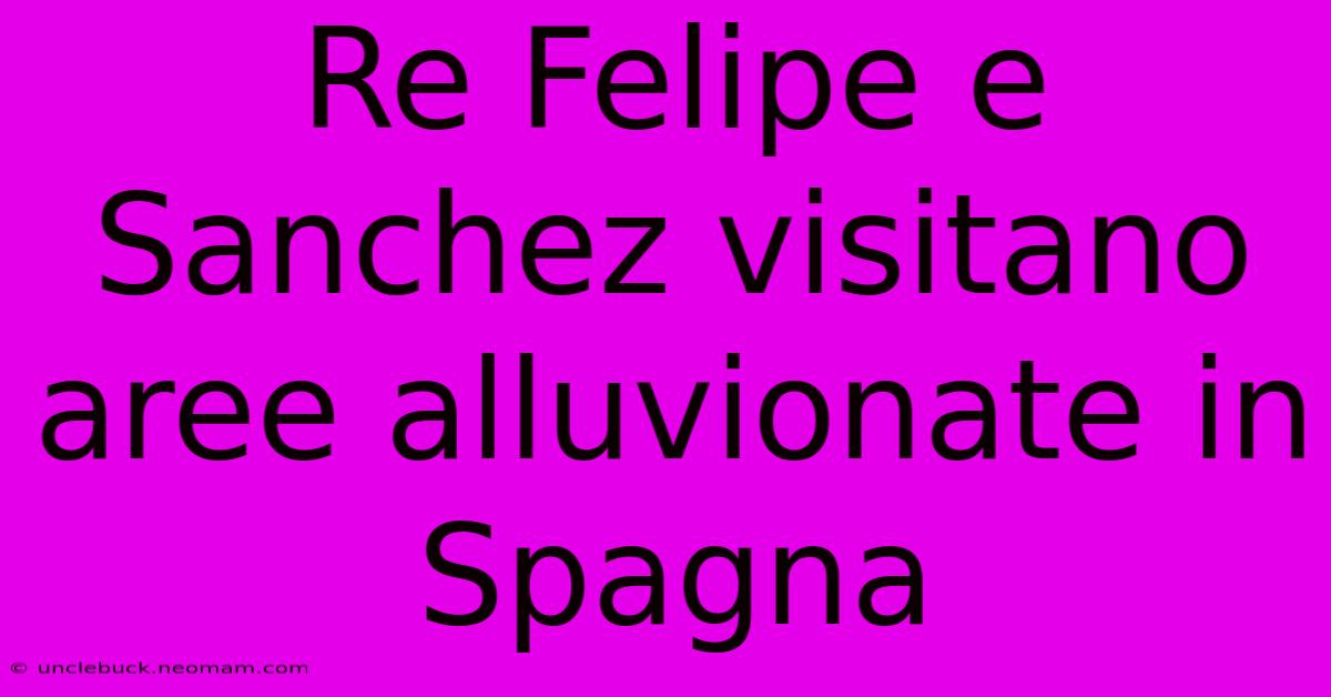 Re Felipe E Sanchez Visitano Aree Alluvionate In Spagna