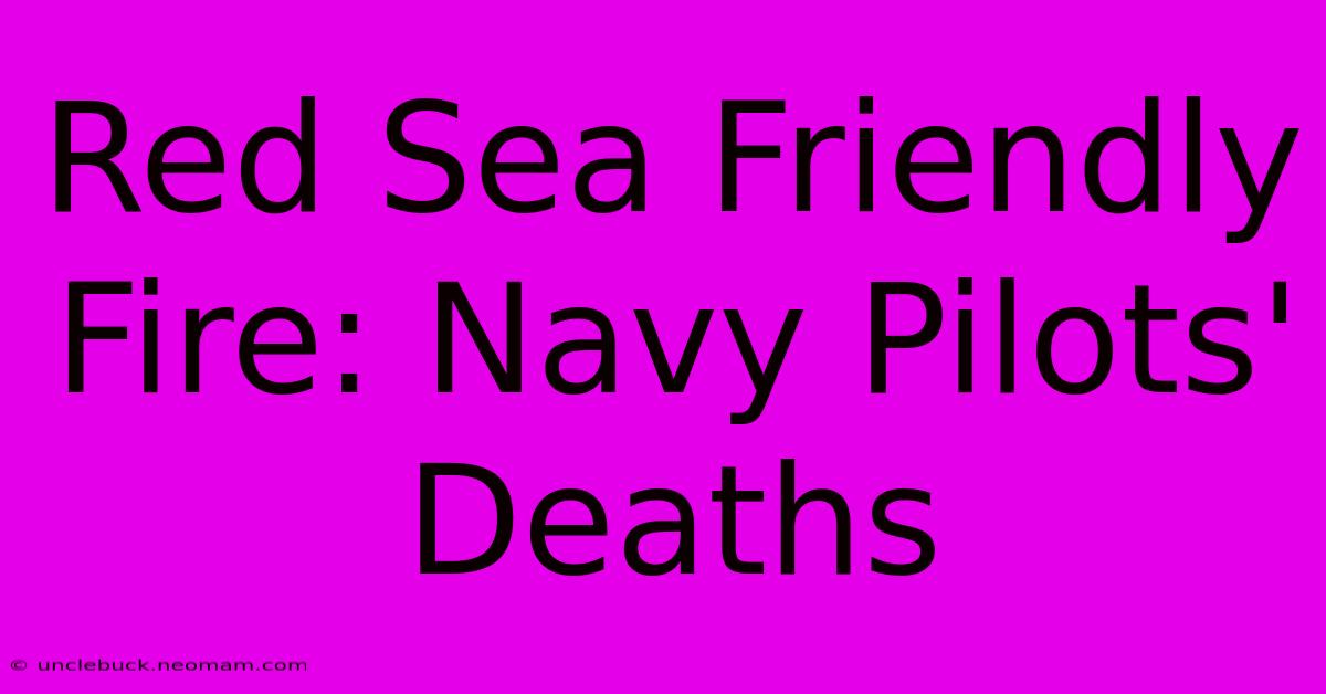 Red Sea Friendly Fire: Navy Pilots' Deaths