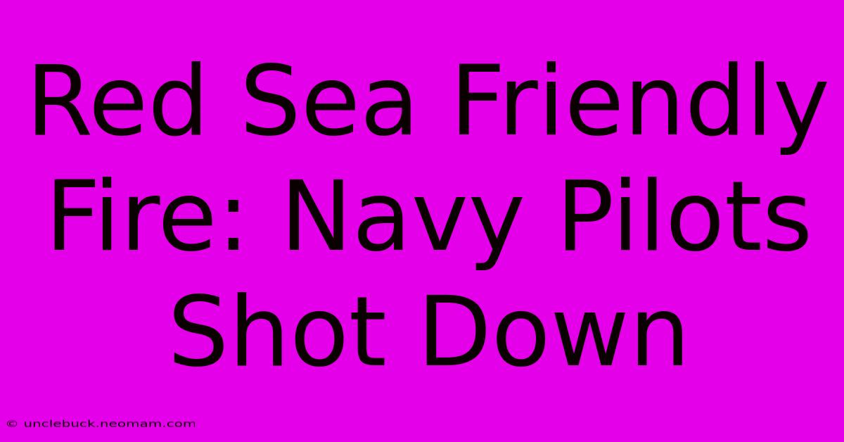 Red Sea Friendly Fire: Navy Pilots Shot Down