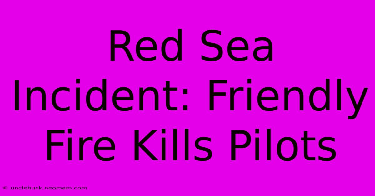 Red Sea Incident: Friendly Fire Kills Pilots