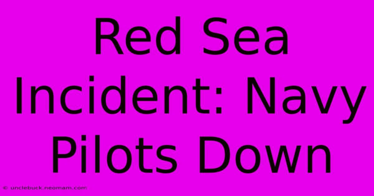 Red Sea Incident: Navy Pilots Down