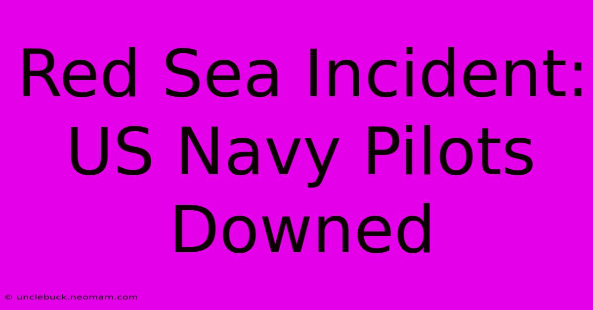 Red Sea Incident: US Navy Pilots Downed