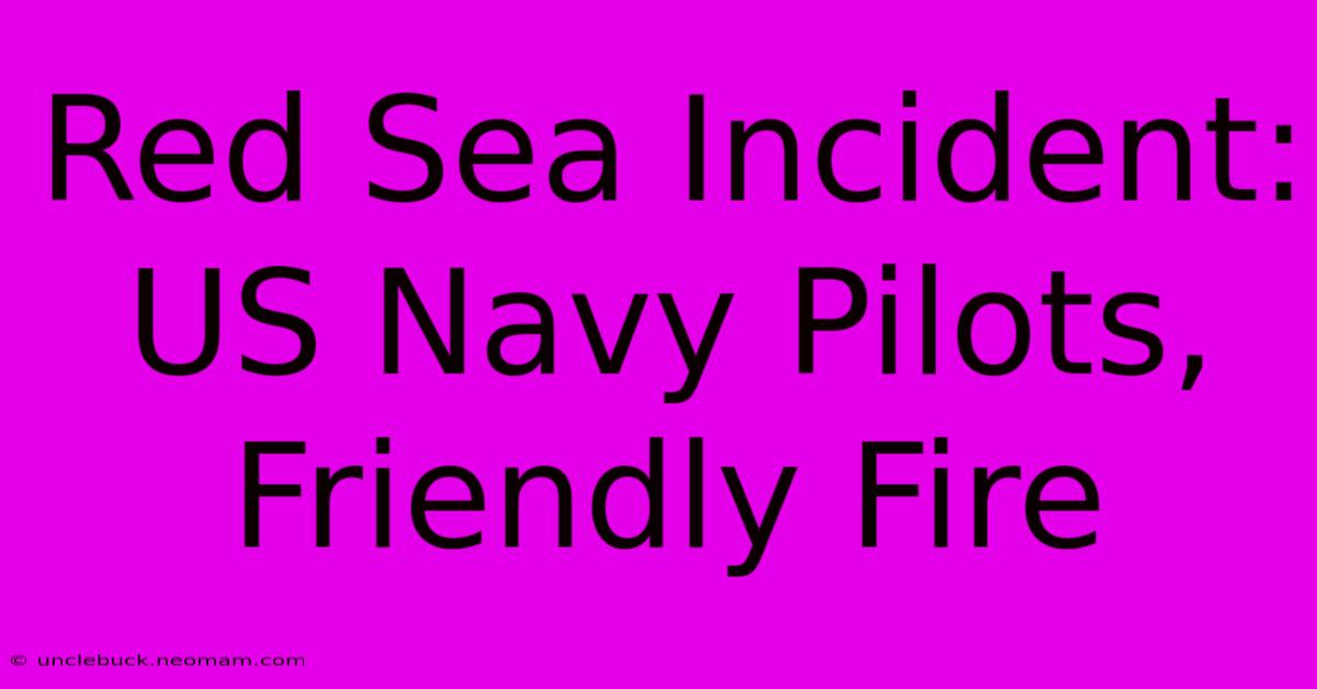 Red Sea Incident: US Navy Pilots, Friendly Fire