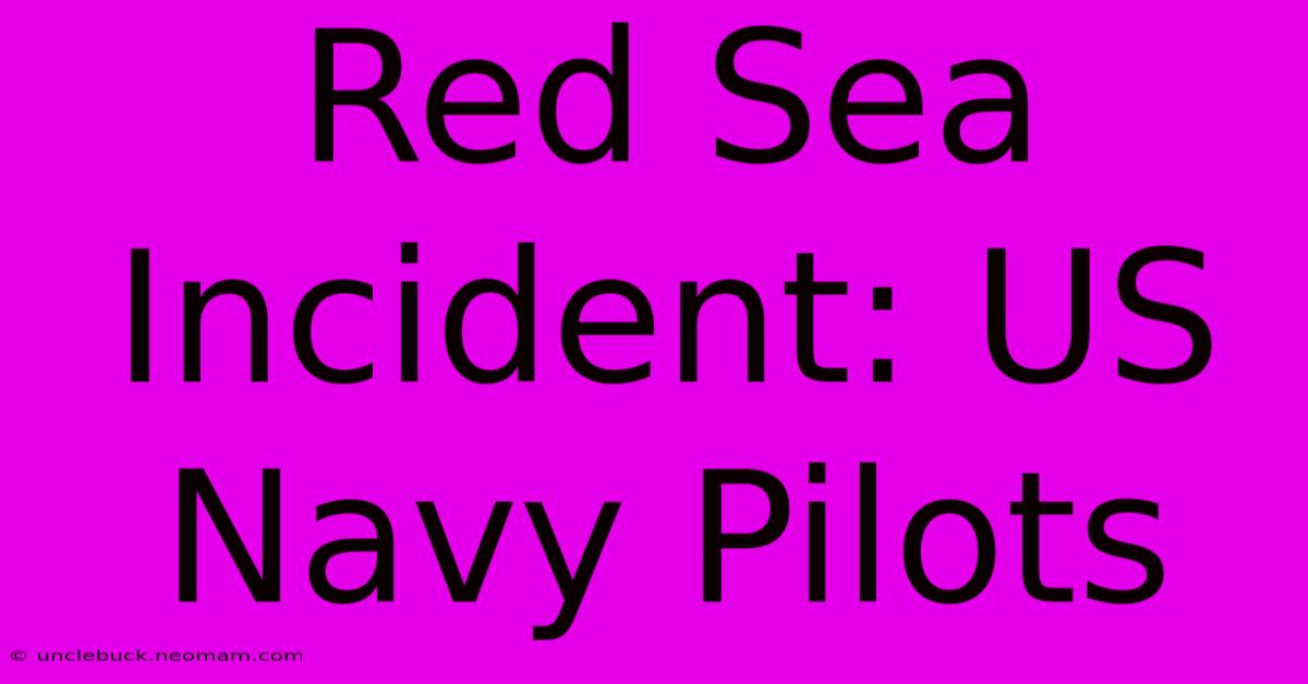 Red Sea Incident: US Navy Pilots