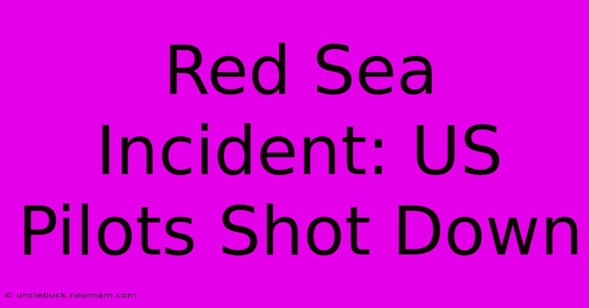 Red Sea Incident: US Pilots Shot Down