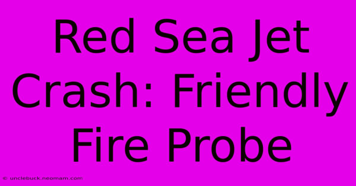 Red Sea Jet Crash: Friendly Fire Probe