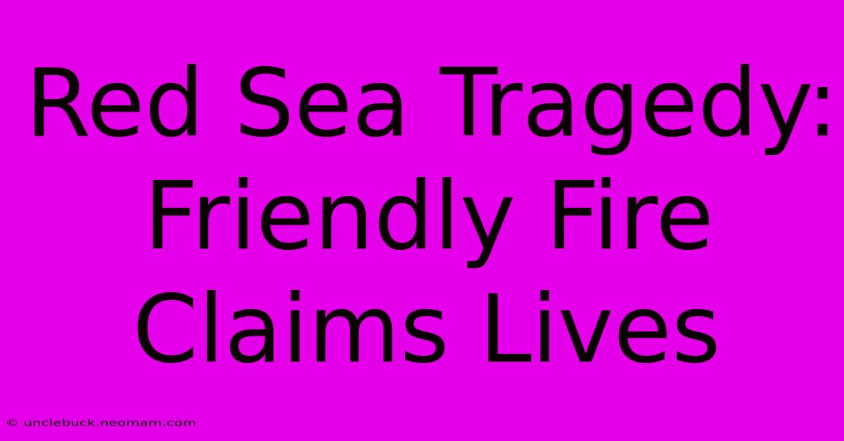 Red Sea Tragedy: Friendly Fire Claims Lives