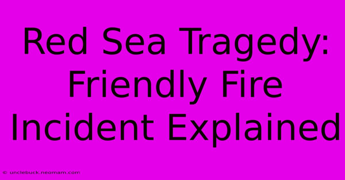 Red Sea Tragedy: Friendly Fire Incident Explained