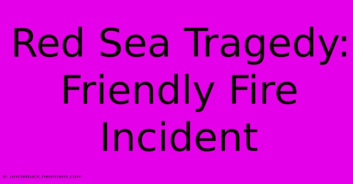 Red Sea Tragedy: Friendly Fire Incident