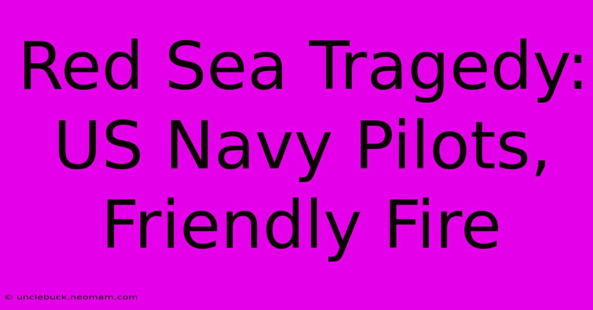 Red Sea Tragedy: US Navy Pilots, Friendly Fire