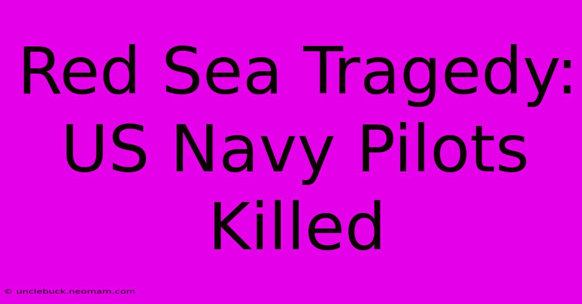 Red Sea Tragedy: US Navy Pilots Killed