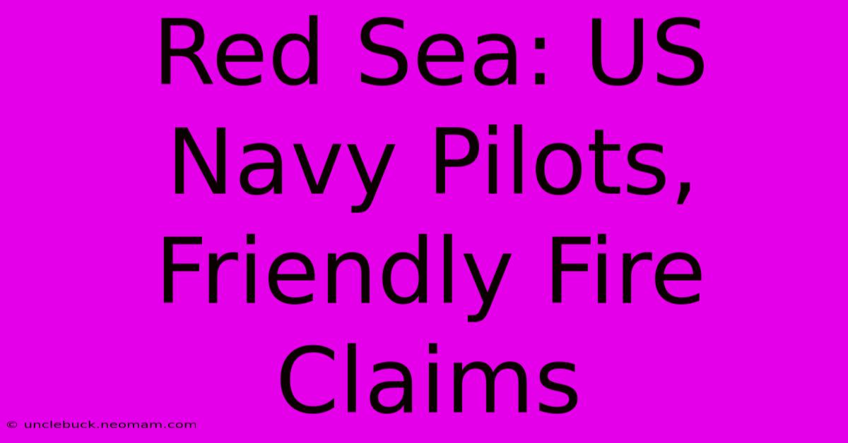 Red Sea: US Navy Pilots, Friendly Fire Claims