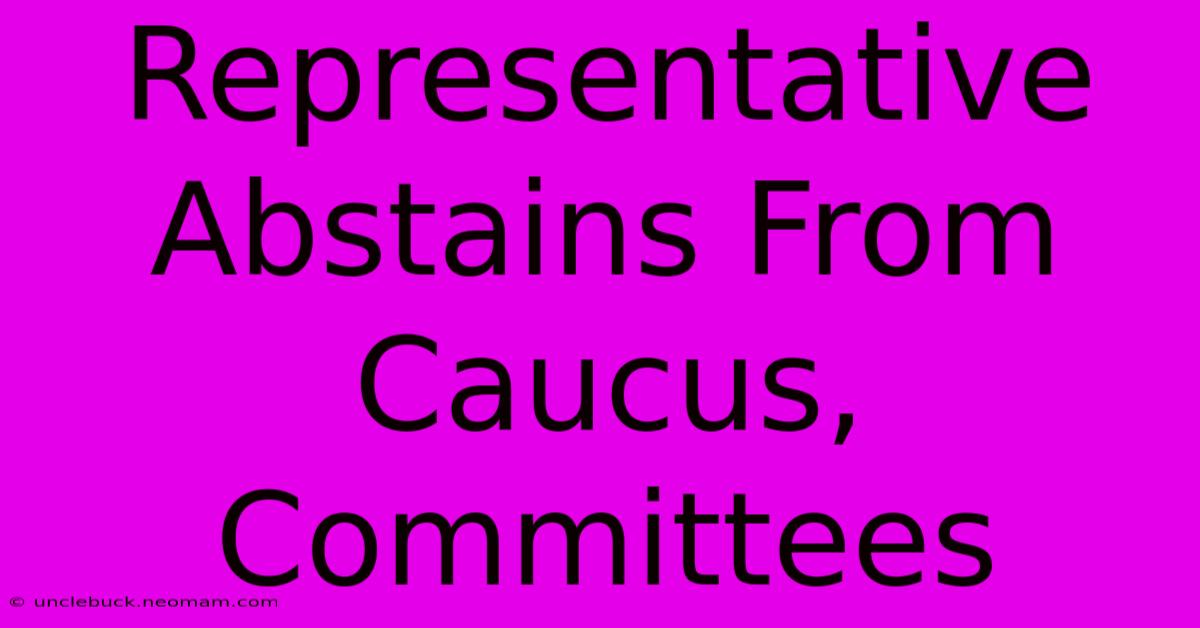 Representative Abstains From Caucus, Committees