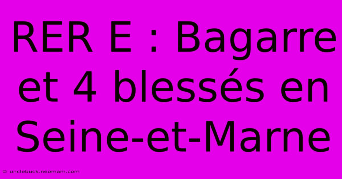 RER E : Bagarre Et 4 Blessés En Seine-et-Marne